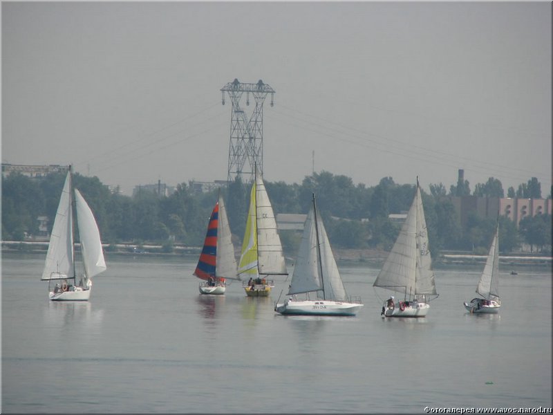 IMG_2598_jpg.jpg
