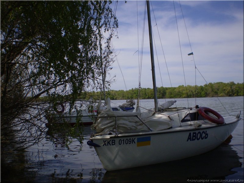 P4224586.JPG