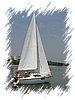 IMG_1919_jpg.jpg